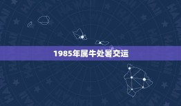 1985年属牛处暑交运，1985年属牛的五行属什么？