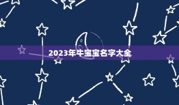 2023年牛宝宝名字大全，何姓牛宝宝取名大全2023款