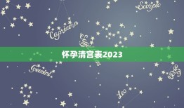 怀孕清宫表2023，求帮忙，帮我算哈 1992年农历12月19出生 怀