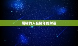 1971年属猪钗钏金(猪年财运旺钗钏金饰更添辉煌)