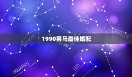 1990男马婚配(匹配星座专家介绍搭配)