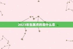 2023年生属虎的是什么命，2023什么年属什么，什么命