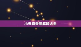 小天真香图解释大全，烧香烧到“小天真”是什么意思啊