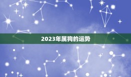 2023年属狗的运势，2023年属狗人的全年运势