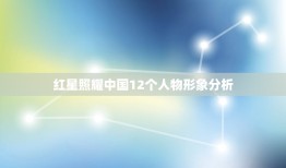 红星照耀中国12个人物形象分析，红星照耀中国中主要人物形象4个