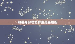 知道身份号怎样查是否婚配，通过信息能否查到是否结婚