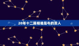 20年十二属相谁是牛的贵人，属牛几月出生大富大贵2023