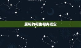 属相的相生相克准不准(介绍信则有不信则无)