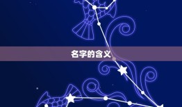 宝宝取名打分测试免费(如何为宝宝取一个好名字)