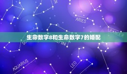 生命数字8和生命数字7的婚配，生命数字7和生命数字9的男女朋友适不适合