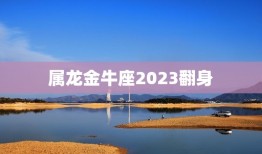 属龙金牛座2023翻身，2023年生肖龙的全年运势