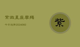 紫微星座摩羯今日运势(20240608)