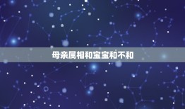 母亲属相和宝宝和不和，我的母亲作文1000字