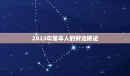 属羊人2023的财运(展望机遇与挑战并存)