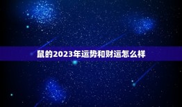 鼠的2023年运势和财运怎么样(好运连连财源滚滚)