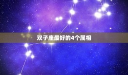 双子座的4个属相(解密哪些星座最能与双子座相配)