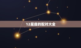 12星座的配对大全，12星座情侣配对大全