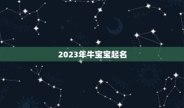 2023年牛宝宝起名，2023年牛宝宝男孩取名有寓意