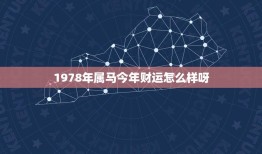 1978年属马今年财运怎么样呀(介绍马年财运如何)