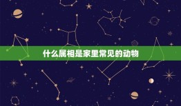 什么属相是家里常见的动物，十二生肖中家里常见的动物是什么