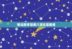 幸运数字是看八字还是属相，中国的幸运数字是什么或什么？