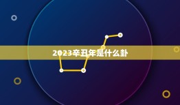 2023辛丑年是什么卦，2023年是什么命