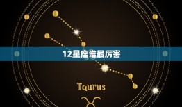 12星座谁最厉害，12星座智商排名表