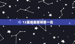 12星座最聪明名(揭晓这个星座获得介绍)