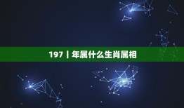 197丨年属什么生肖属相，生肖属虎197几年的？现在多大