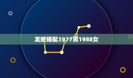 龙蛇婚配1977男1988女，求命相:出生于1978年阴历12月15日