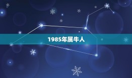 1985年属牛人，属牛1985年出生是什么命