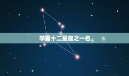 学霸十二星座之一名，十二星座更优秀的星座