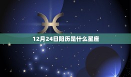 12月24日阳历是什么星座，阳历12月24日阴历是几号