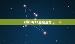 2023年l2星座运势