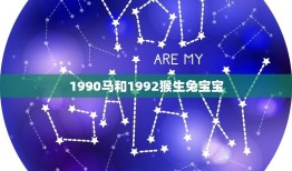 1990马和1992猴生兔宝宝(神奇的十二生肖组合)