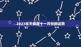 2023年天蝎座十一月份的运势，2023年天蝎座全年运势