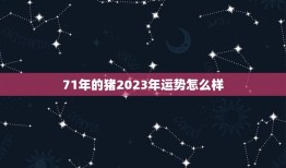 71年的猪2023年运势怎么样(猪年人财运亨通事业顺利但需注意健康问题)