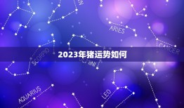 2023年猪运势如何(猪年大吉财运亨通)