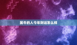 属牛的人今年财运怎么样，属牛的人今年财运怎么样下半年