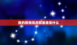 我的属相是虎那星座是什么，我是属虎的我的出生日子是2010年3月28日