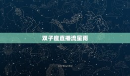 双子座直播流星雨，流星雨双子座