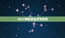 2023年生男生女清宫图，生男生女清宫图2023年推算表是农历还是阳历