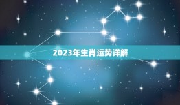 2023年生肖运势详解，董易奇2023年生肖运程