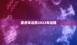 属虎年运势2023年运程，2023年鸡人运势运程1981年的鸡