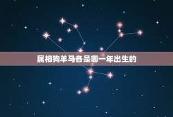 属相狗羊马各是哪一年出生的，十二生肖分别各是哪一年