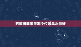 石榴树栽家里哪个位置风水最好，风水看院子里石榴树选种位置