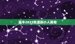 属牛2023年遇到小人属相，2023年属牛本命年应该要注意什么 运气好