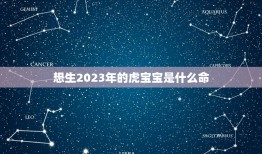 想生2023年的虎宝宝是什么命，2023年虎年是什么命