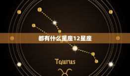 都有什么星座12星座，每个人都有两个星座