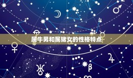 属牛男与属猪女相配吗(星座配对分析)